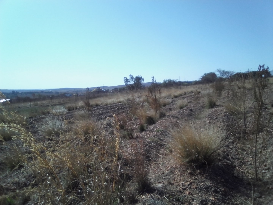To Let Commercial Property for Rent in Diepsloot West Gauteng