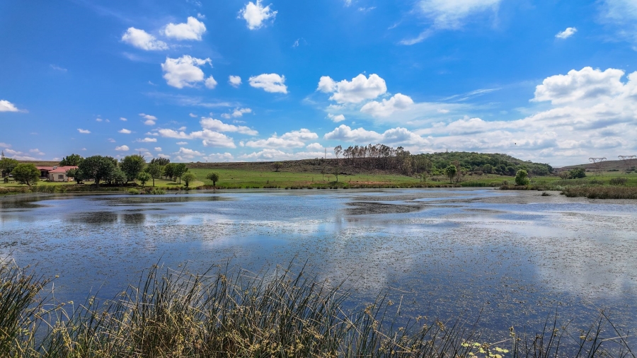 Commercial Property for Sale in Spitskop 533 Ah Gauteng