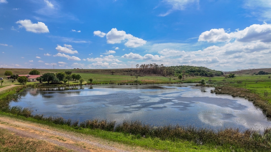 Commercial Property for Sale in Spitskop 533 Ah Gauteng