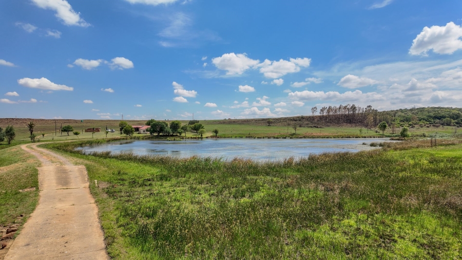 Commercial Property for Sale in Spitskop 533 Ah Gauteng