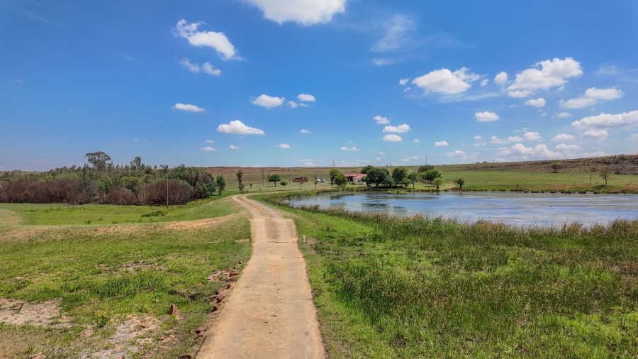 Commercial Property for Sale in Spitskop 533 Ah Gauteng
