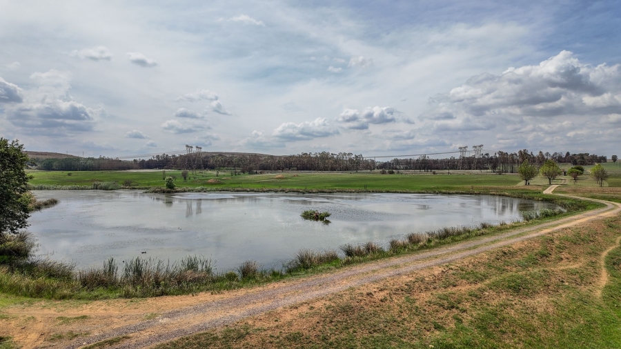 Commercial Property for Sale in Spitskop 533 Ah Gauteng