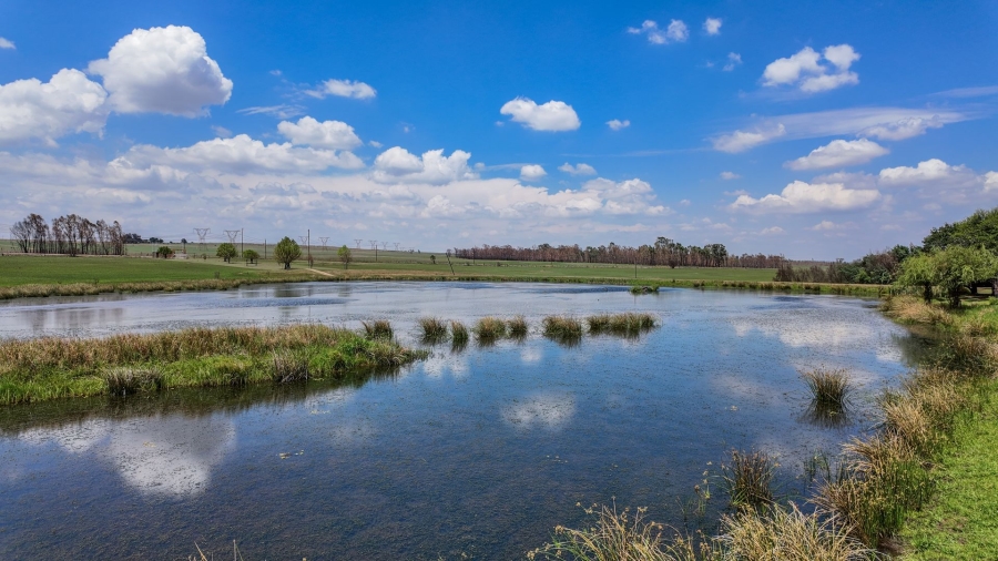 Commercial Property for Sale in Spitskop 533 Ah Gauteng