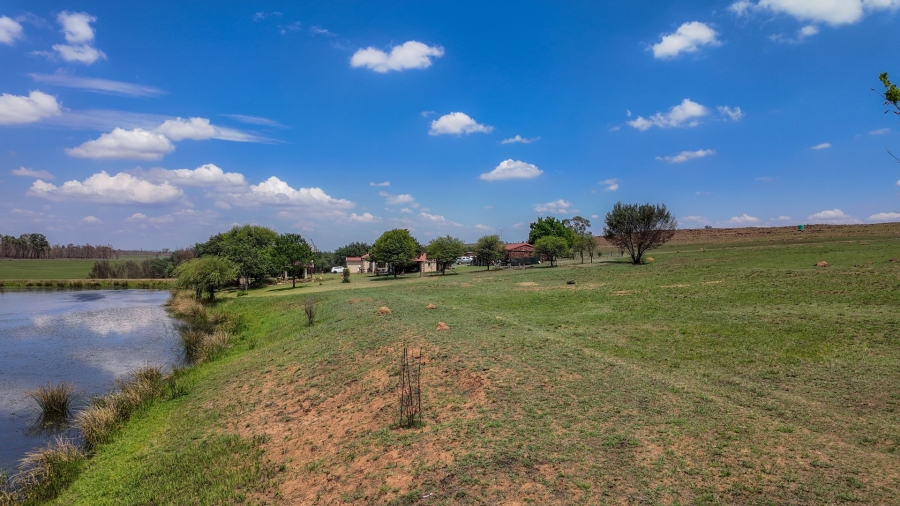Commercial Property for Sale in Spitskop 533 Ah Gauteng