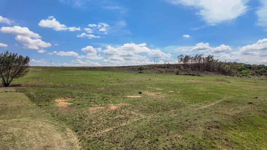 Commercial Property for Sale in Spitskop 533 Ah Gauteng