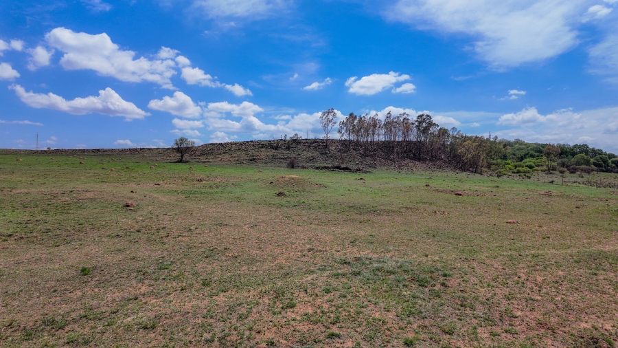 Commercial Property for Sale in Spitskop 533 Ah Gauteng