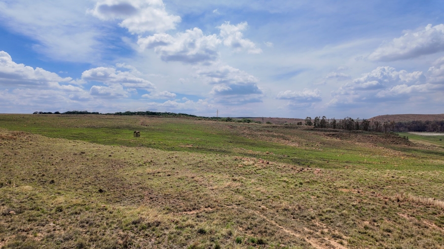 Commercial Property for Sale in Spitskop 533 Ah Gauteng