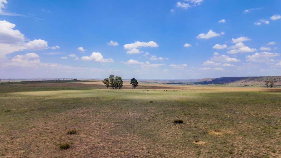 Commercial Property for Sale in Spitskop 533 Ah Gauteng