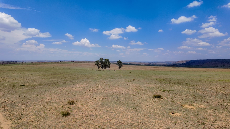 Commercial Property for Sale in Spitskop 533 Ah Gauteng