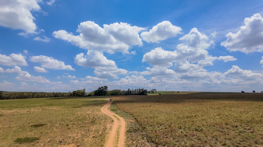 Commercial Property for Sale in Spitskop 533 Ah Gauteng
