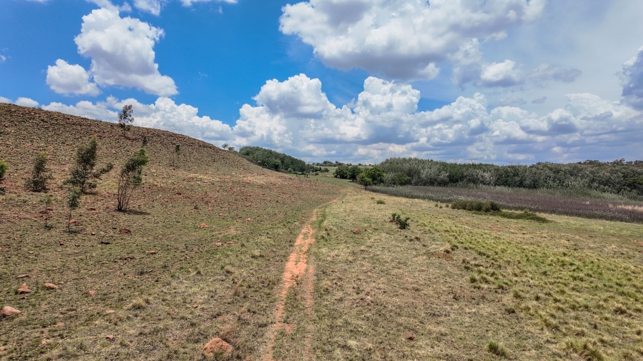 Commercial Property for Sale in Spitskop 533 Ah Gauteng