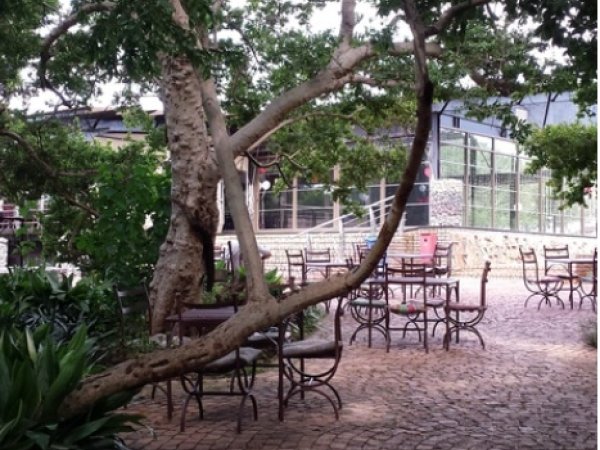 Commercial Property for Sale in Kameeldrift East Gauteng