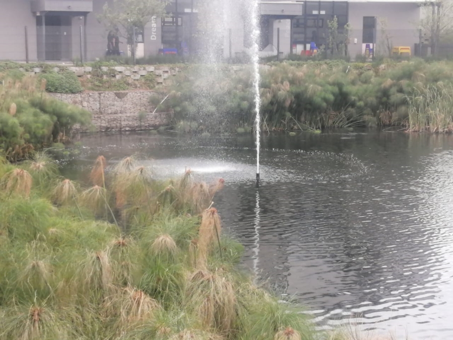 To Let 3 Bedroom Property for Rent in The Polofields Gauteng