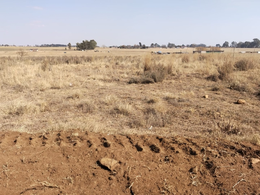 Commercial Property for Sale in Sherman Park Gauteng