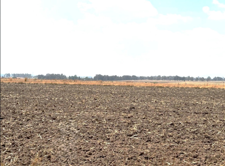 Commercial Property for Sale in Chrissiefontein Gauteng