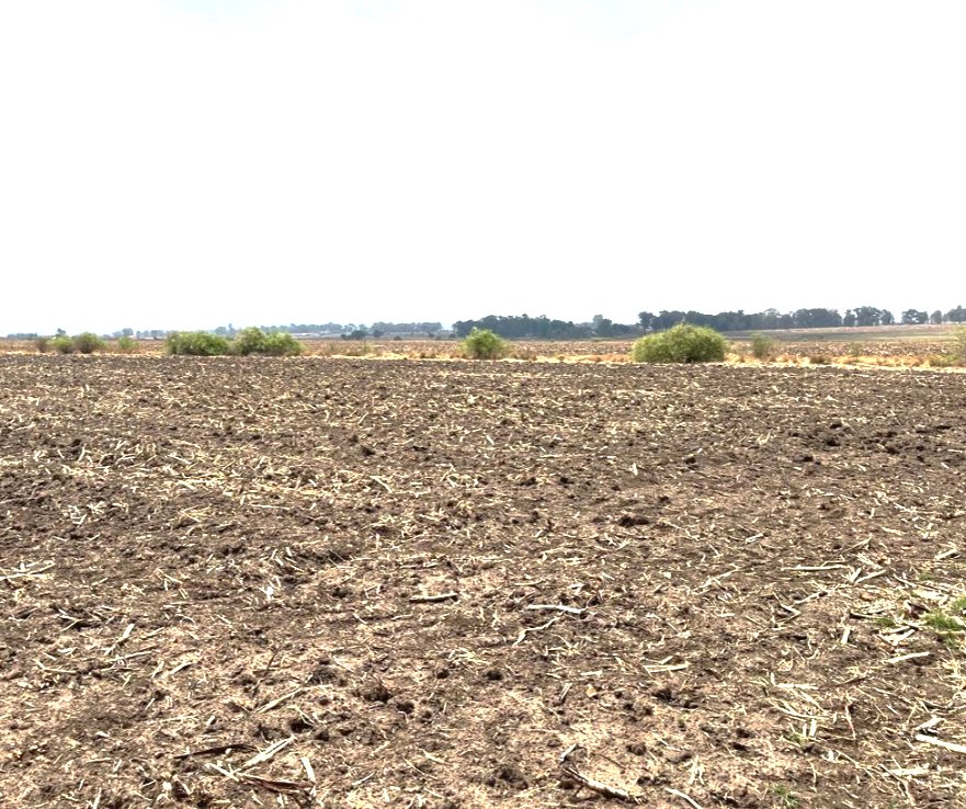 Commercial Property for Sale in Chrissiefontein Gauteng