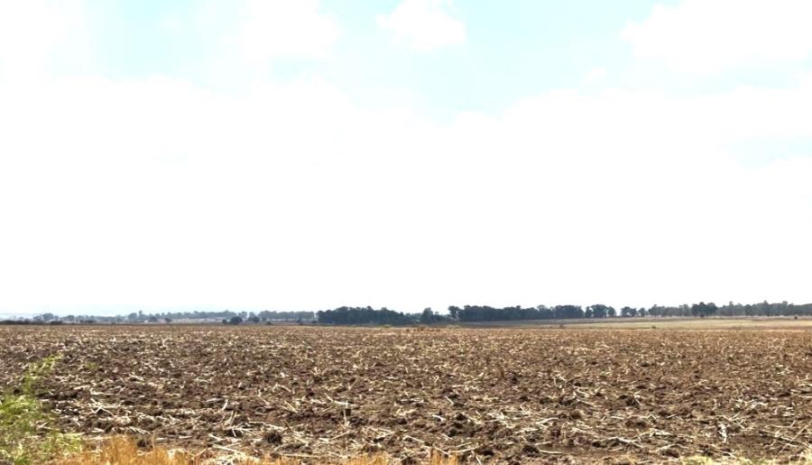 Commercial Property for Sale in Chrissiefontein Gauteng