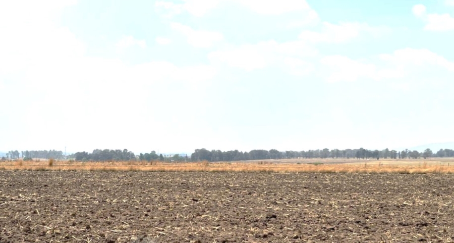 Commercial Property for Sale in Chrissiefontein Gauteng