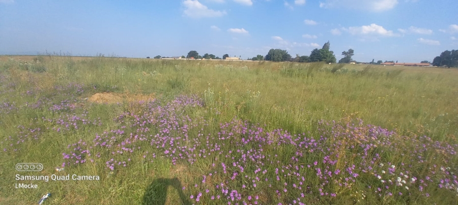 Commercial Property for Sale in Riversdale Gauteng