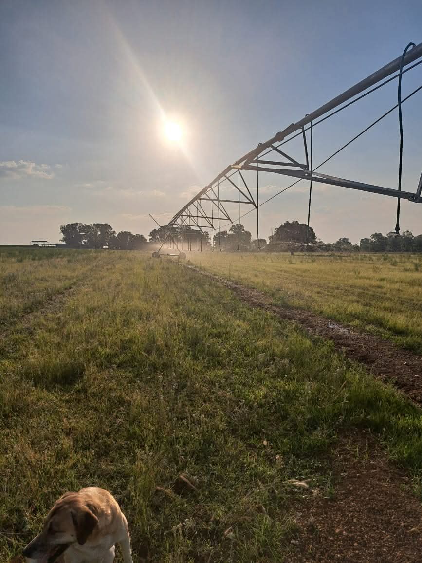 Commercial Property for Sale in Welverdiend AH Gauteng