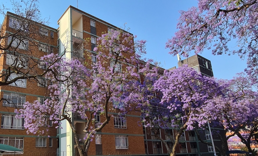1 Bedroom Property for Sale in Pretoria Gauteng
