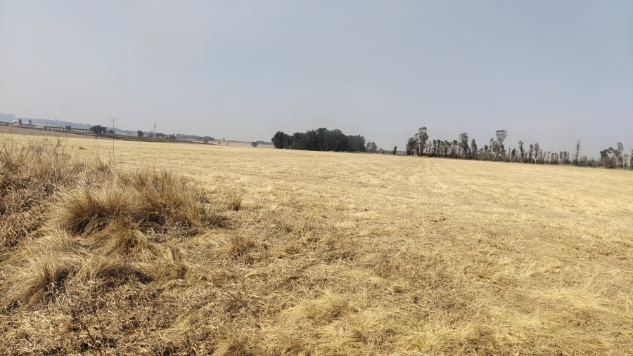 0 Bedroom Property for Sale in Rooikopjes AH Gauteng
