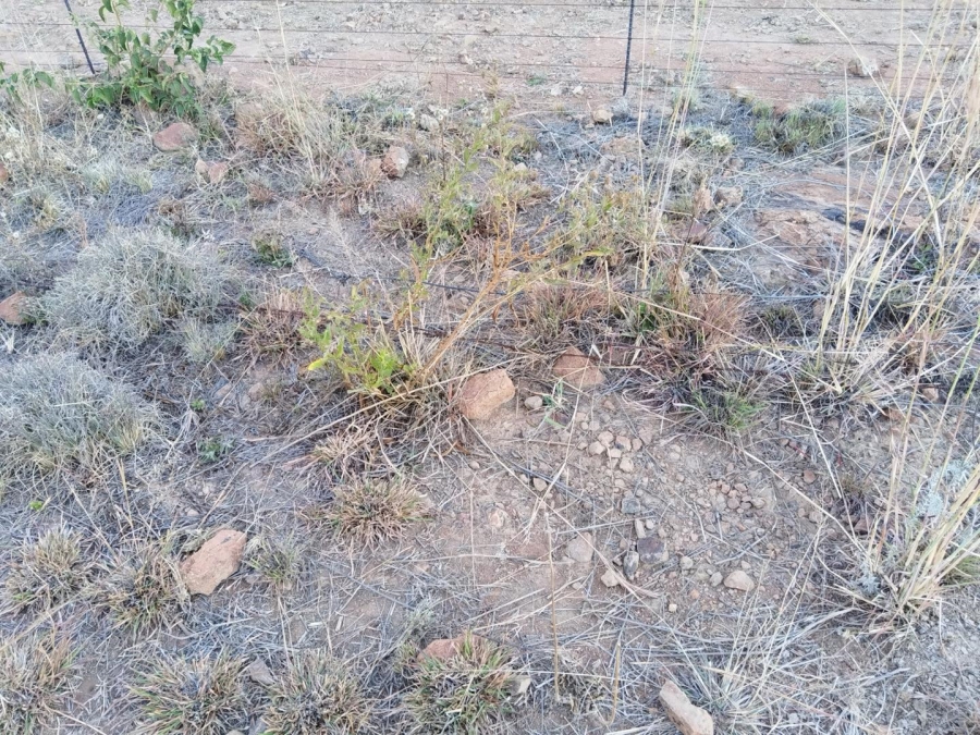 0 Bedroom Property for Sale in Wonderboom Gauteng