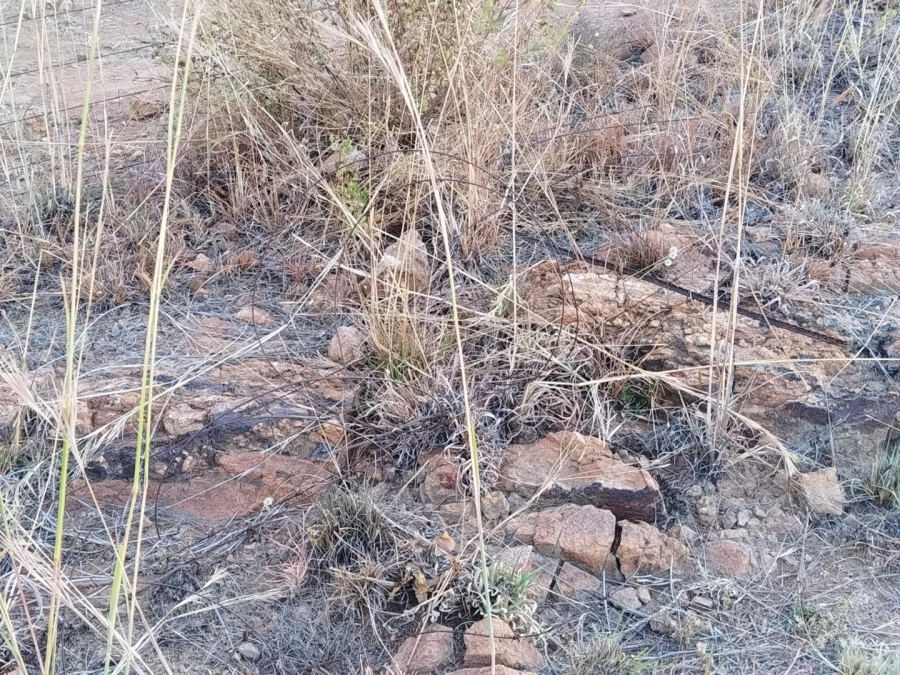 0 Bedroom Property for Sale in Wonderboom Gauteng