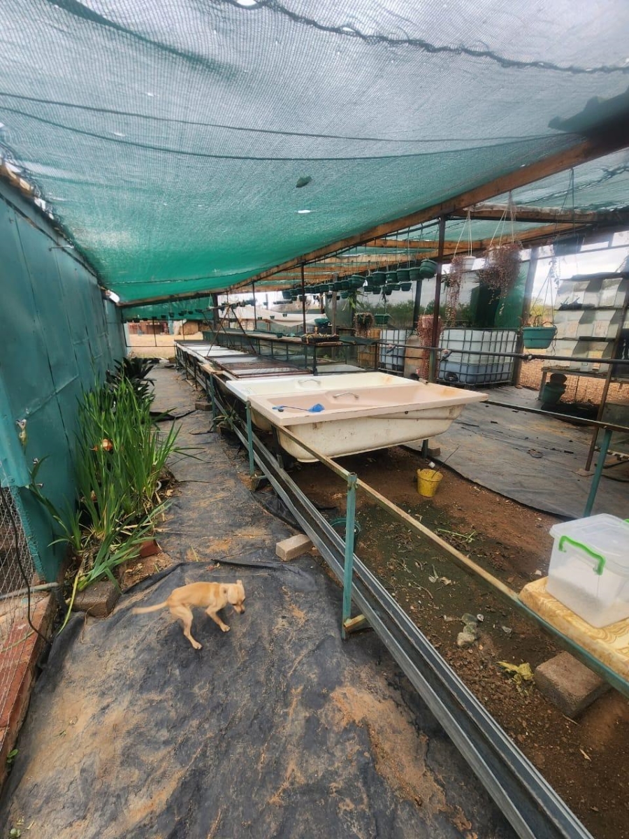 3 Bedroom Property for Sale in Grootvlei AH Gauteng