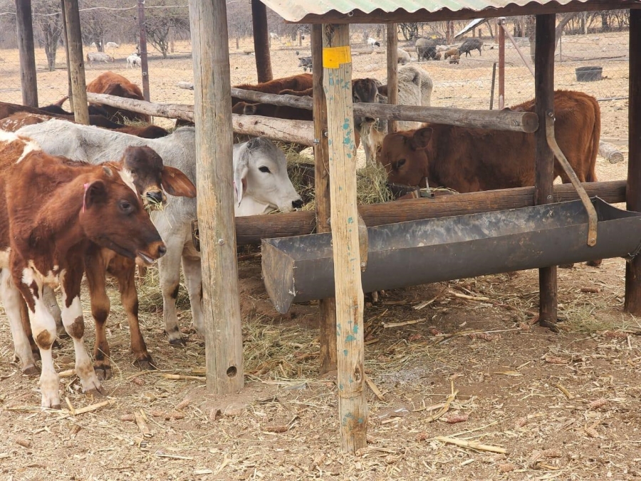 3 Bedroom Property for Sale in Grootvlei AH Gauteng