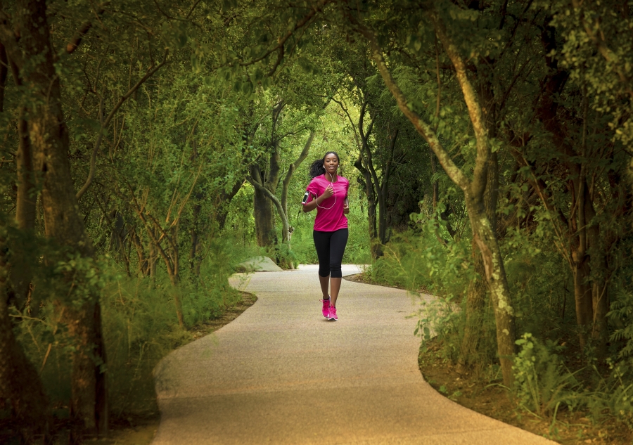 0 Bedroom Property for Sale in Steyn City Gauteng