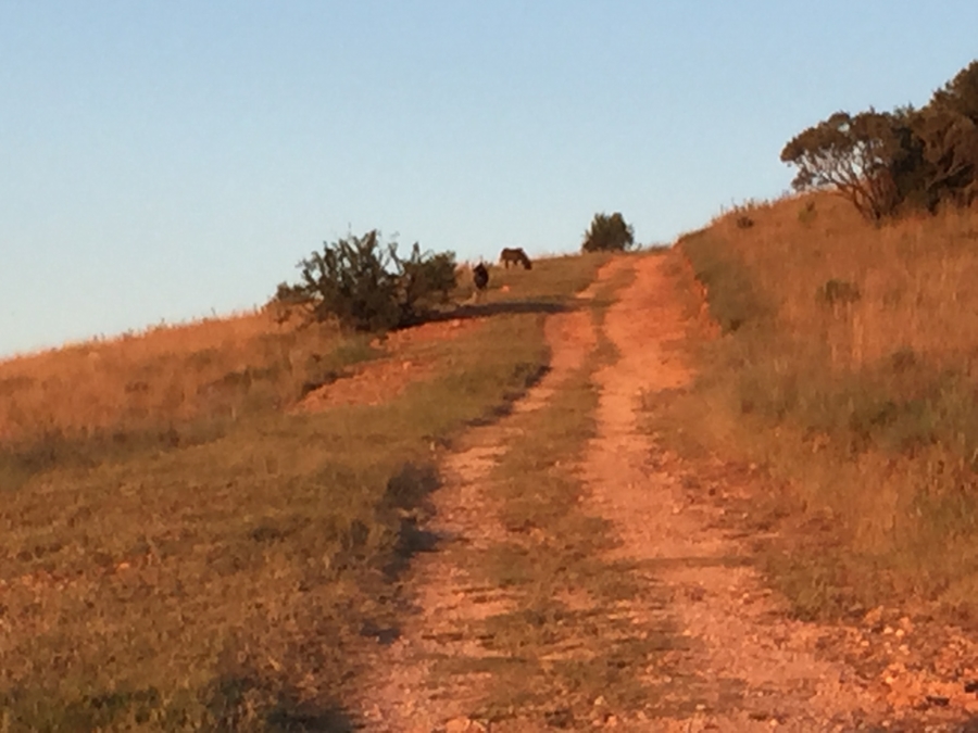 3 Bedroom Property for Sale in Lanseria Gauteng