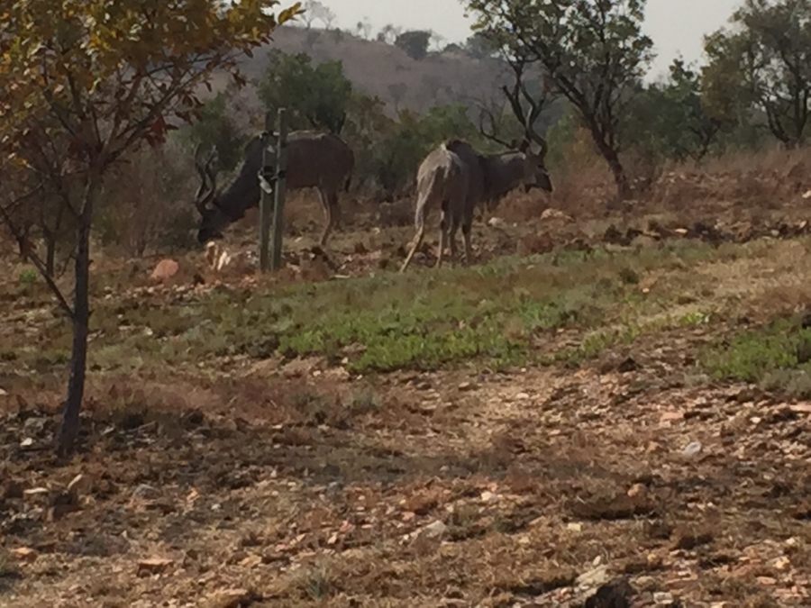 3 Bedroom Property for Sale in Lanseria Gauteng