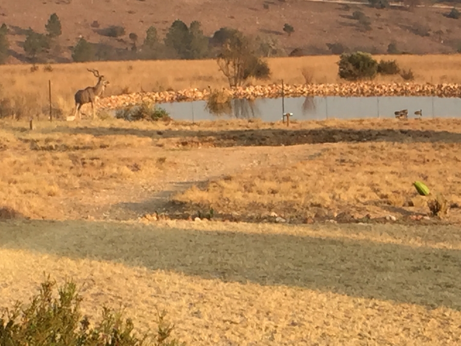 3 Bedroom Property for Sale in Lanseria Gauteng