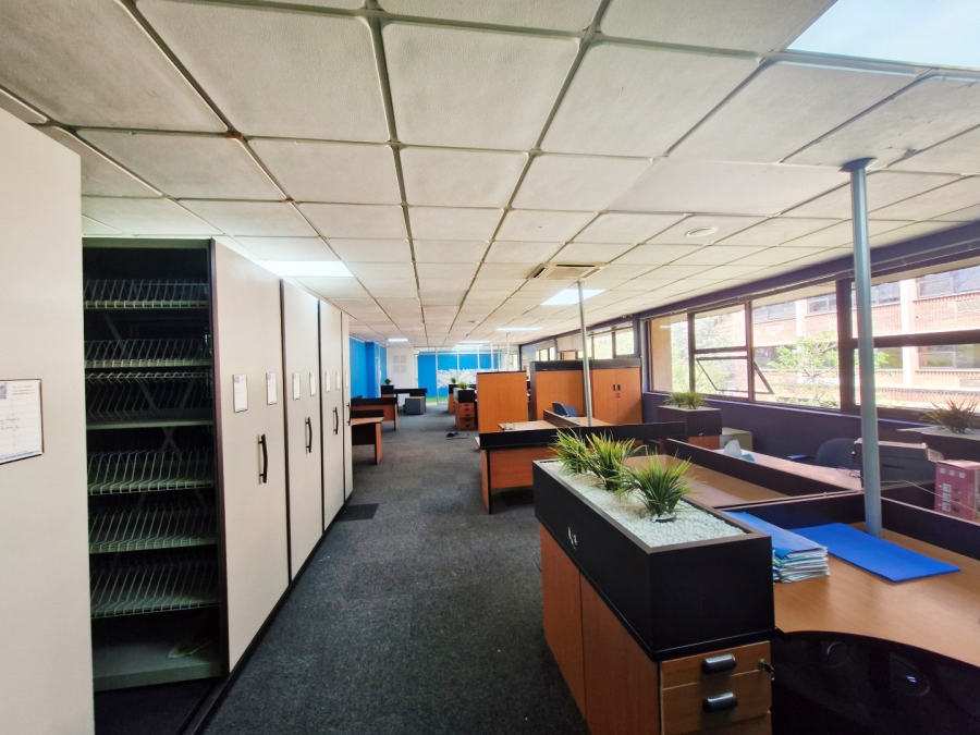 To Let commercial Property for Rent in Houghton Estate Gauteng