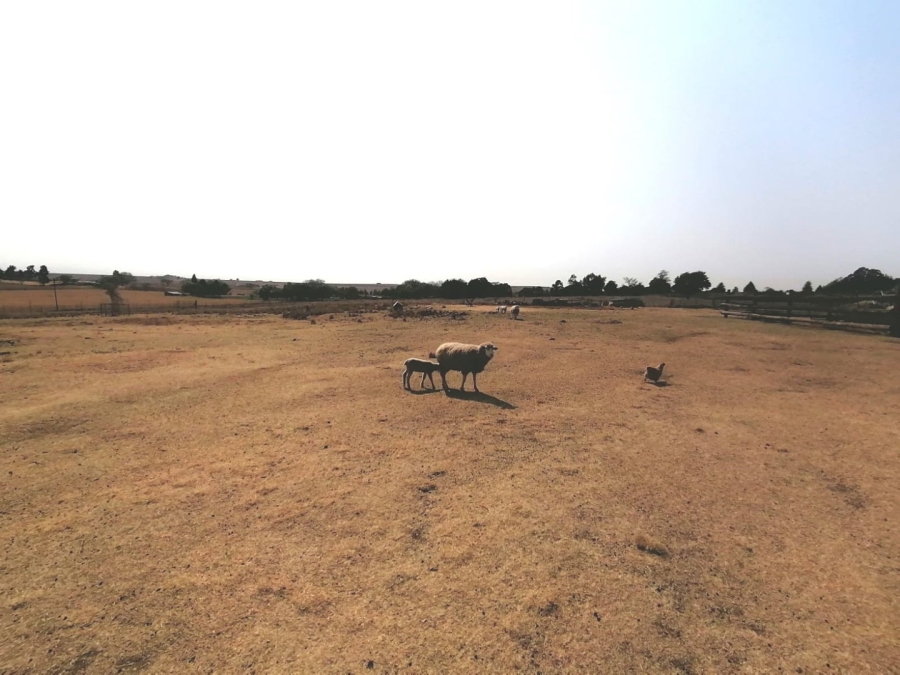 4 Bedroom Property for Sale in Bothas Geluk Gauteng