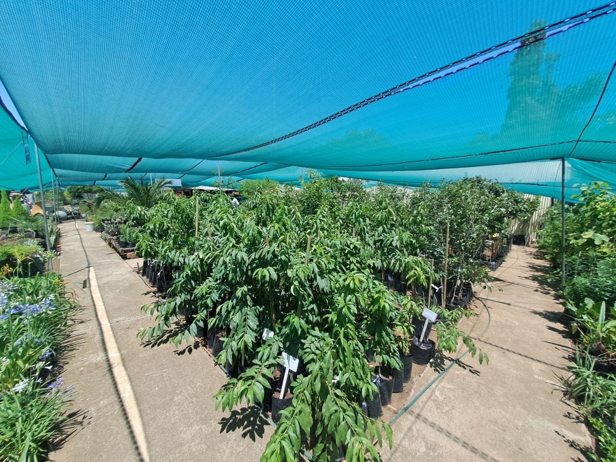 Commercial Property for Sale in Ferryvale Gauteng