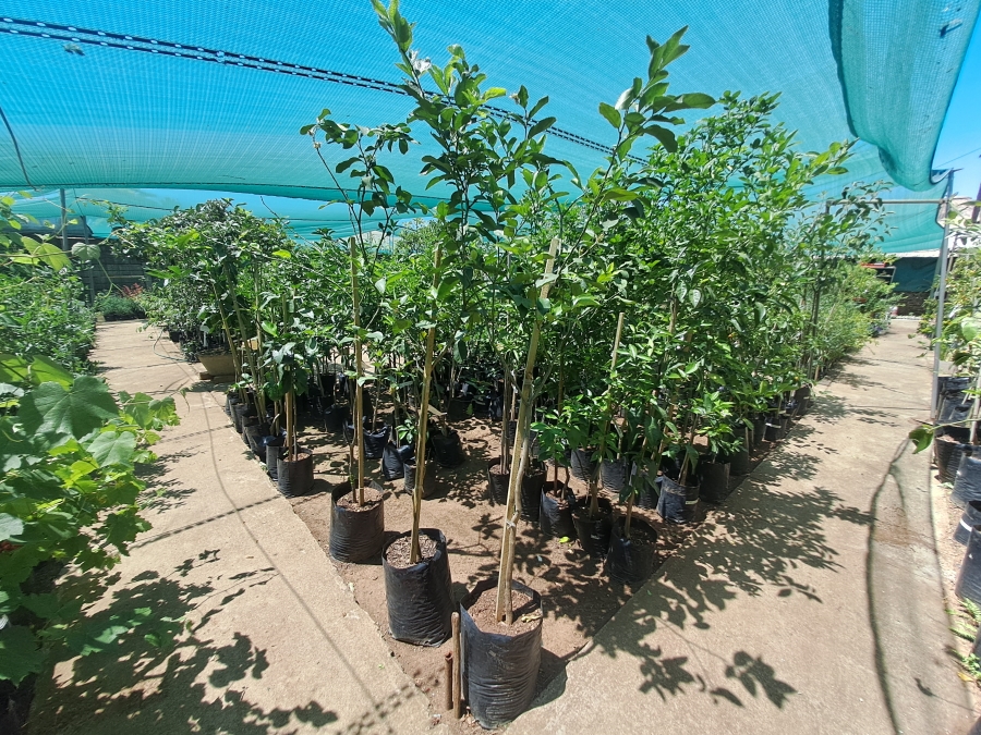 Commercial Property for Sale in Ferryvale Gauteng