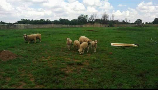 3 Bedroom Property for Sale in Mullerstuine Gauteng