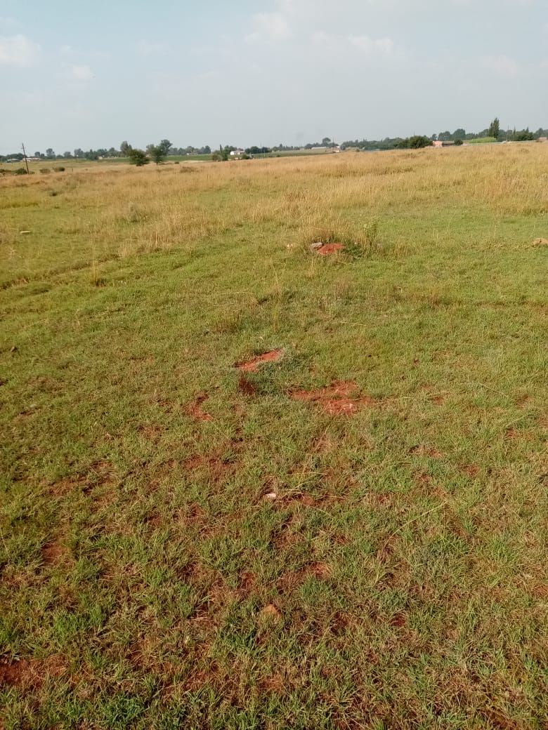 0 Bedroom Property for Sale in Rosashof Gauteng