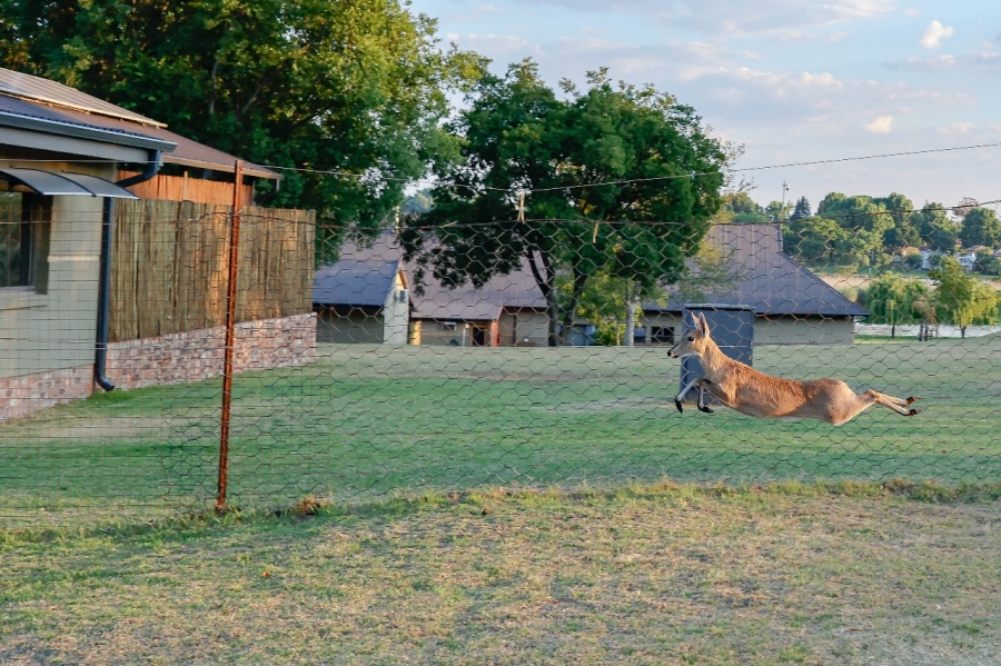 4 Bedroom Property for Sale in Kaalplaats Gauteng