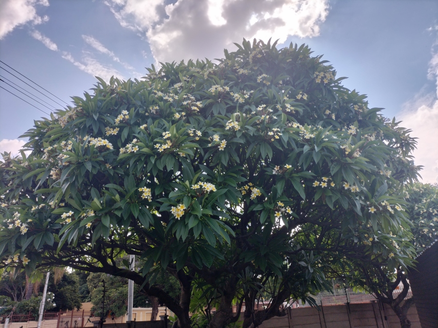 6 Bedroom Property for Sale in Pretoria North Gauteng