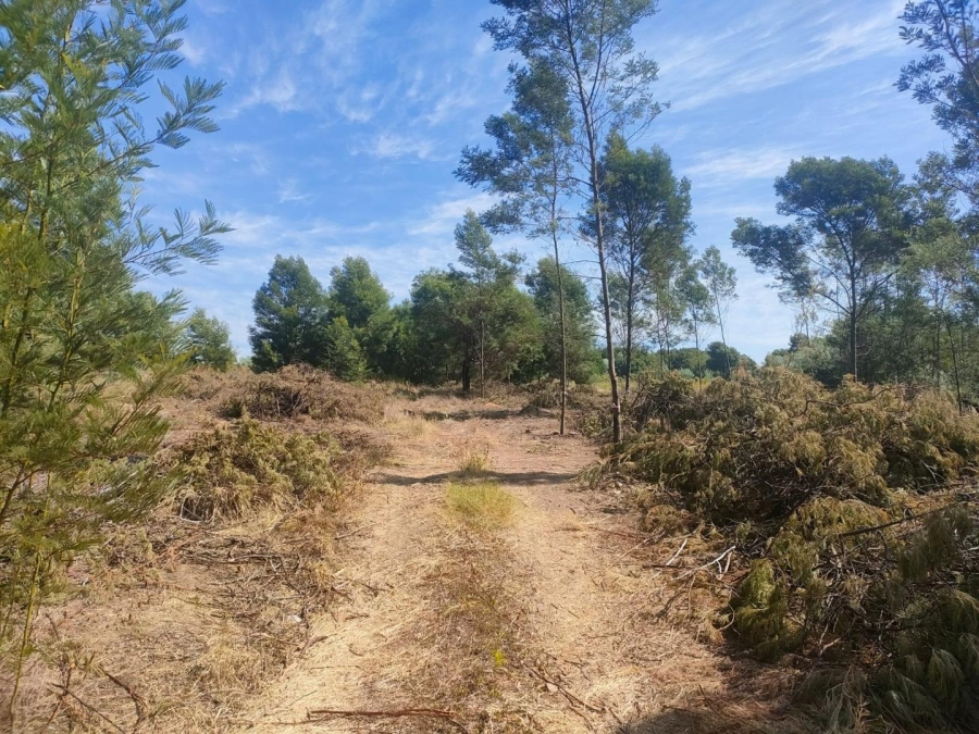 0 Bedroom Property for Sale in Mooikloof Ridge Gauteng