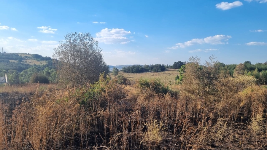 0 Bedroom Property for Sale in Bronkhorstfontein A H Gauteng