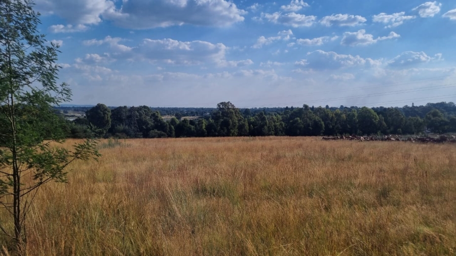 0 Bedroom Property for Sale in Alewynspoort Gauteng