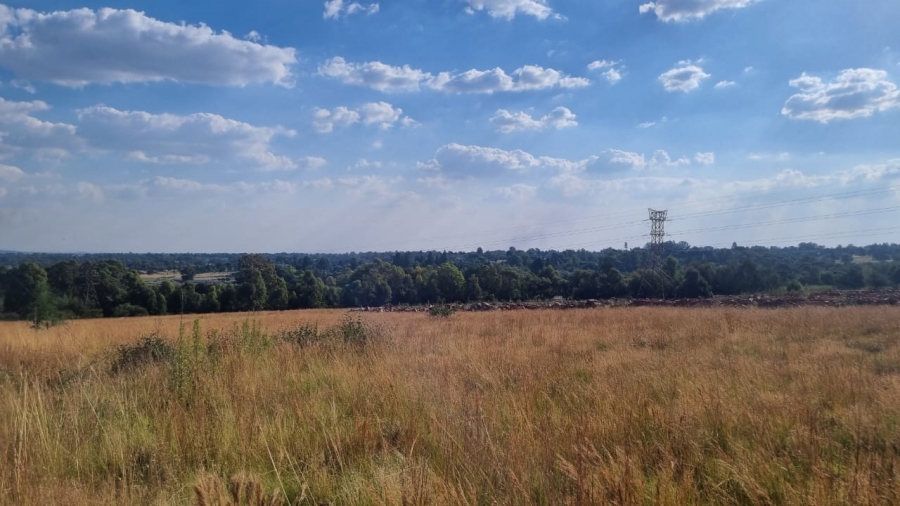 0 Bedroom Property for Sale in Alewynspoort Gauteng