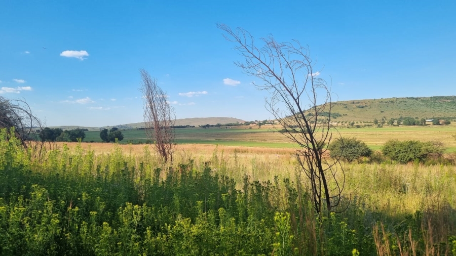 0 Bedroom Property for Sale in Alewynspoort Gauteng