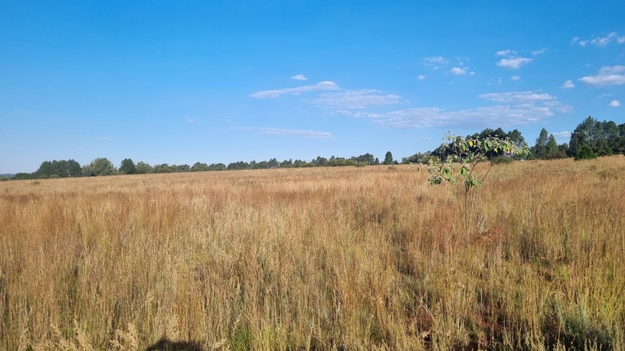 0 Bedroom Property for Sale in Alewynspoort Gauteng