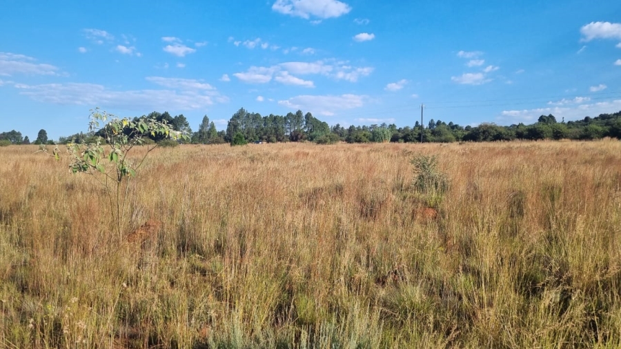 0 Bedroom Property for Sale in Alewynspoort Gauteng