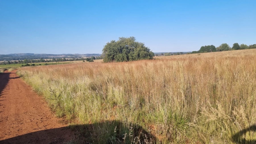 0 Bedroom Property for Sale in Alewynspoort Gauteng